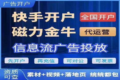 专业SEM服务公司案例分析报告